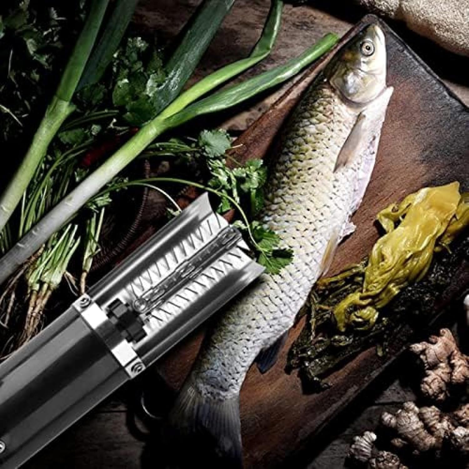 81nT2n0T44L._AC_SL1500_električni odstranjevalec ribjih lusk